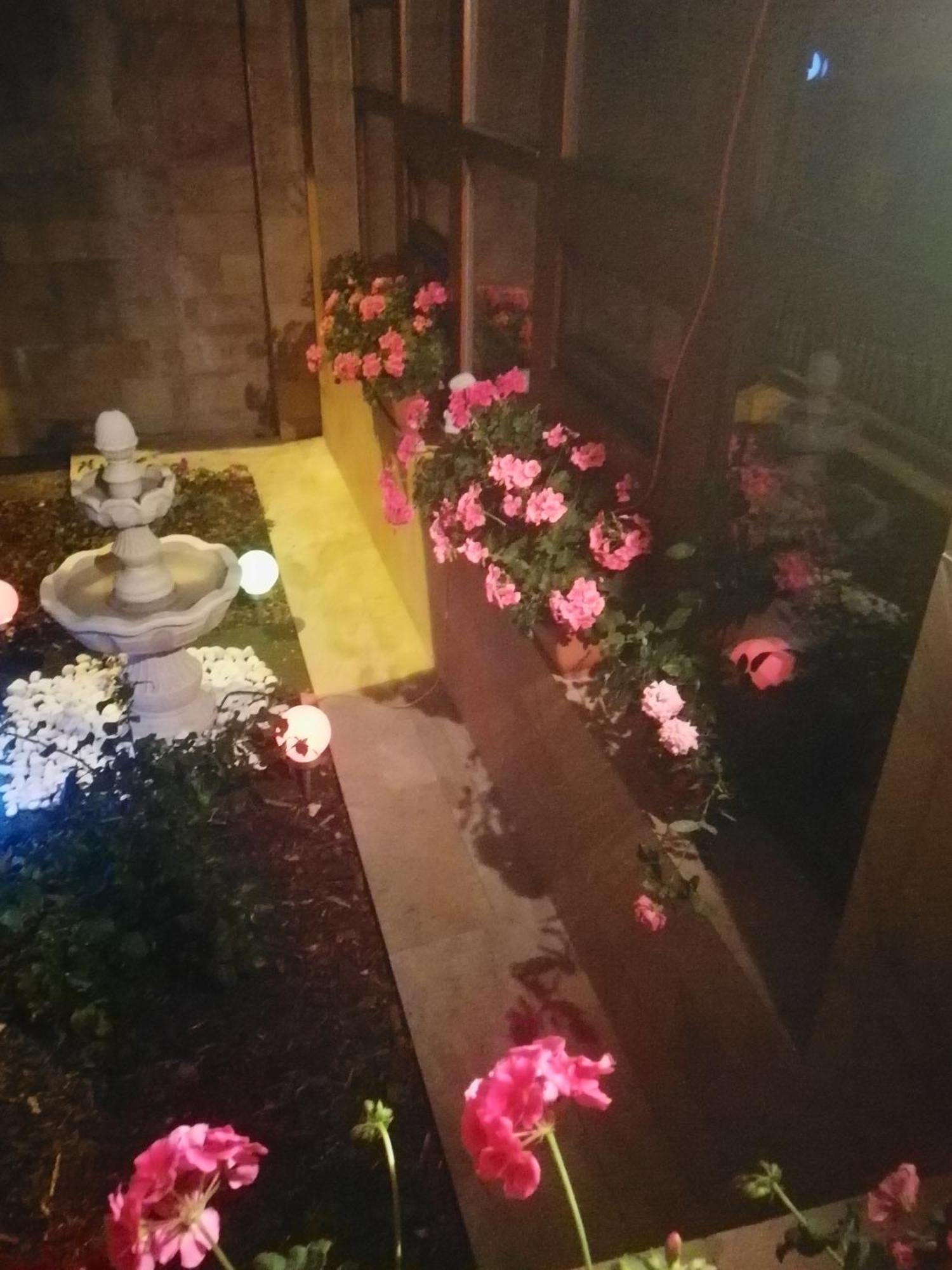 Villa Barrandov Pokoj 3 براغ المظهر الخارجي الصورة